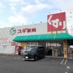 スギ薬局市場店まで230m (周辺)