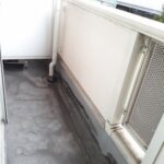 フリージア 画像13 フリージア 画像13