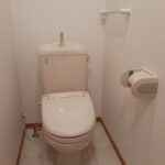 フリージア 画像14 フリージア 画像14