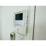 Cherry Blossom 画像6