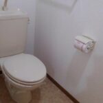 マ－ヴェラスⅠ 画像7