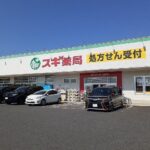 スギ薬局常滑インター店まで308m (周辺)