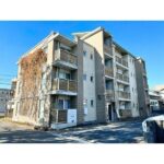 ハイツアボガド