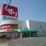 スギ薬局 新舞子店まで300m (周辺)