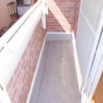 ルピナス 画像13