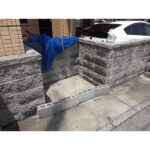 フェリシア千成 画像6