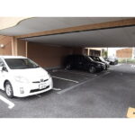 フェリシア千成 画像8