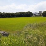 青山公園まで250m (周辺)