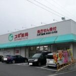 スギ薬局 新知店まで350m (周辺)