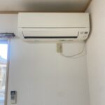 ヨーロピアンシャレータカラ 画像9