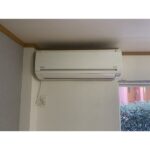 ヴィオラ・トゥール 画像12