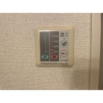 ヴィオラ・トゥール 画像13