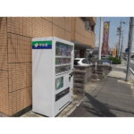 フェリシア千成 画像5