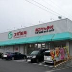 スギ薬局 新知店まで250m (周辺) スギ薬局 新知店まで250m (周辺)