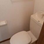 スタ－ライト 画像8