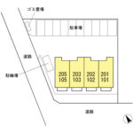 クリプトメリア 画像3