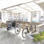 クリプトメリア 画像13