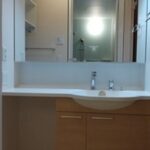 クリプトメリア 画像8