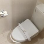 クリプトメリア 画像9