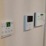 クリプトメリア 画像16