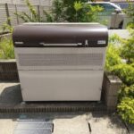 クリプトメリア 画像22