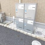 クリプトメリア 画像23