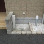 クリプトメリア 画像24