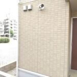 クリプトメリア 画像14