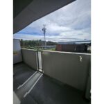 リンデンバウムJ3 画像11