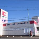 ココカラファイン寺本店まで800m (周辺)