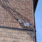 エバーグリーンD 画像13 エバーグリーンD 画像13