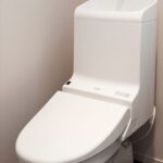 starrobe. 画像7 starrobe. 画像7