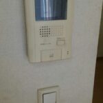 ルピナス 画像10