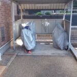 ルピナス 画像11