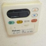 ルピナス 画像12