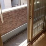 ルピナス 画像13