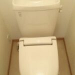 ルピナス 画像14