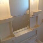 ルピナス 画像6