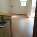 ルピナス 画像7