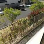 グランディールC 画像26 グランディールC 画像26