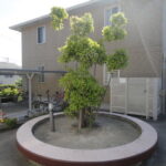 グランディールC 画像28 グランディールC 画像28