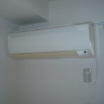 S・TステラIII 画像7 S・TステラIII 画像7